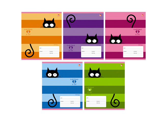 Тетрадь котята. Котики в линию 5 класс 2024 ответы. Тетрадь котята. Тетради 12 листов королевские кошечки. Котики по линеечке.