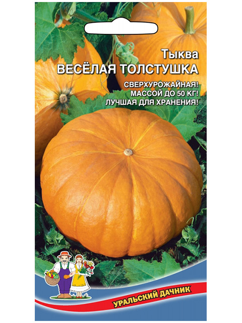 Тыква Веселая толстушка, ц/п, Уральский дачник