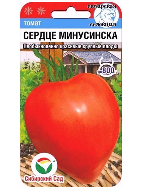 Помидоры сердце сибири описание сорта фото отзывы Томаты Томаты высокорослые