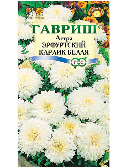 Астра Эрфуртский карлик, Белая, ц/п, 0,3 г
