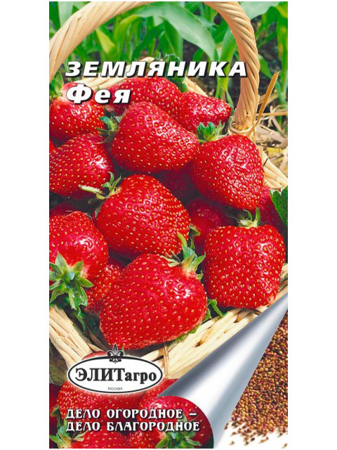 Клубника Надежда Описание Фото Отзывы
