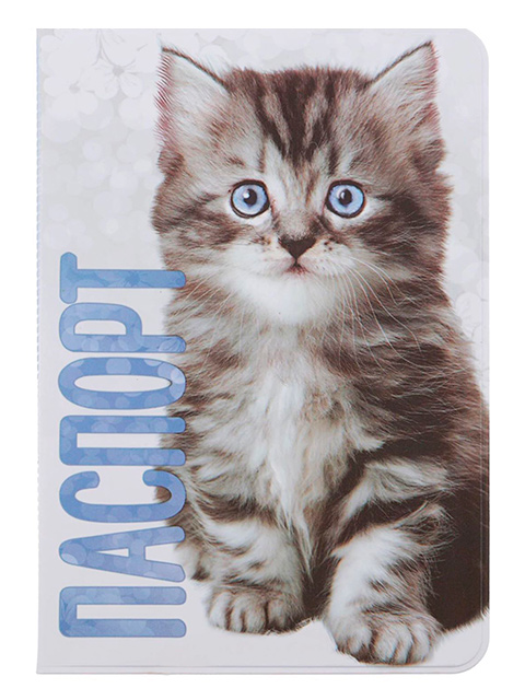 Обложка для паспорта  "Кот" 9,5х13,5см