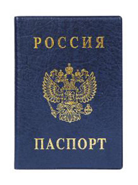 Обложка для паспорта ДПС вертикальная, синяя