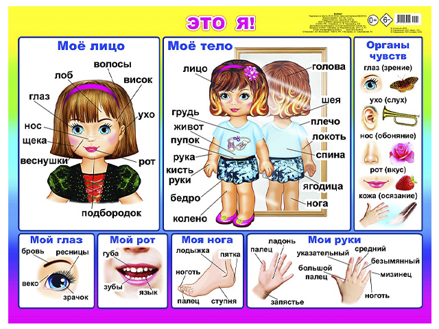 Плакат А2  "Это я!" 