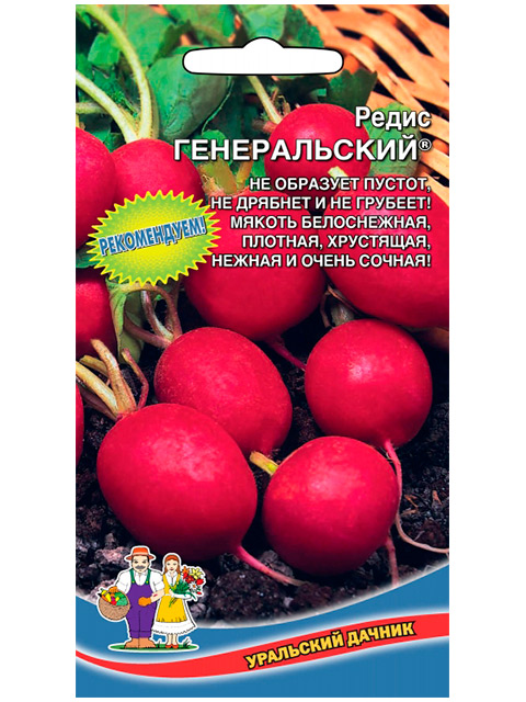 Редис Генеральский, ц/п, 2 г. Уральский дачник