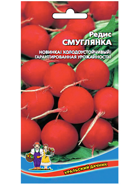 Редис Смуглянка, ц/п, Уральский дачник