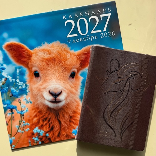 Уже пора выбирать календарь на 2027 год!