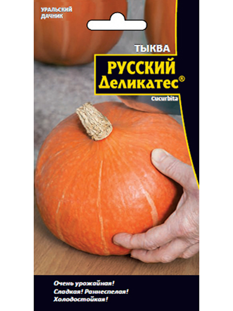 Тыква Русский деликатес, ц/п, Уральский дачник
