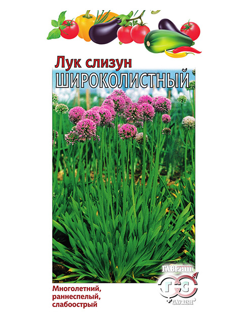 Лук слизун Широколистный, 0,5 гр, ц/п,серия Удачные семена