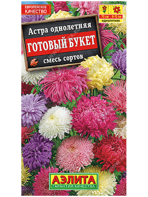 Астра Готовый букет, смесь окрасок, ц/п R