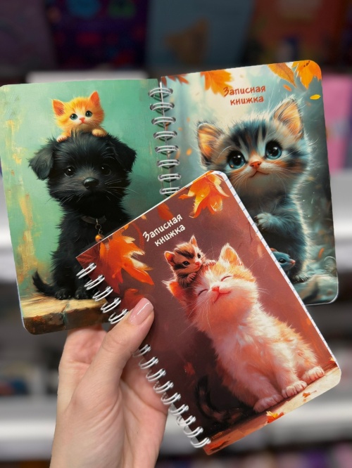 Записные книжки, блокноты, анкеты друзей