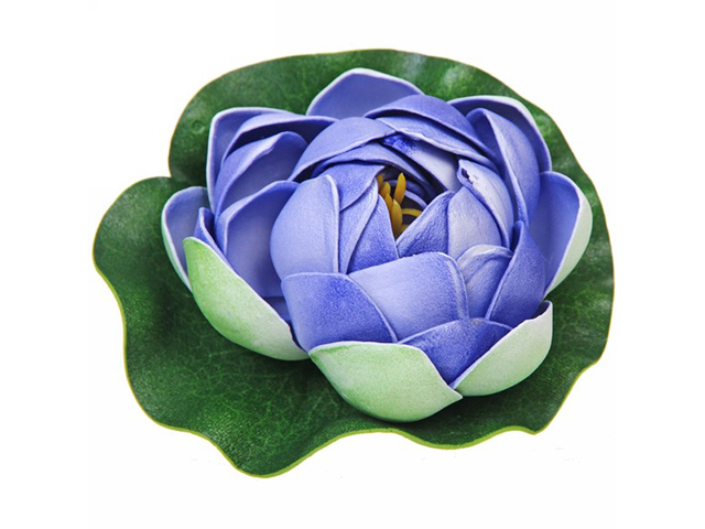 Растение водоплавающее "Кувшинка Розитта" d-10см синяя