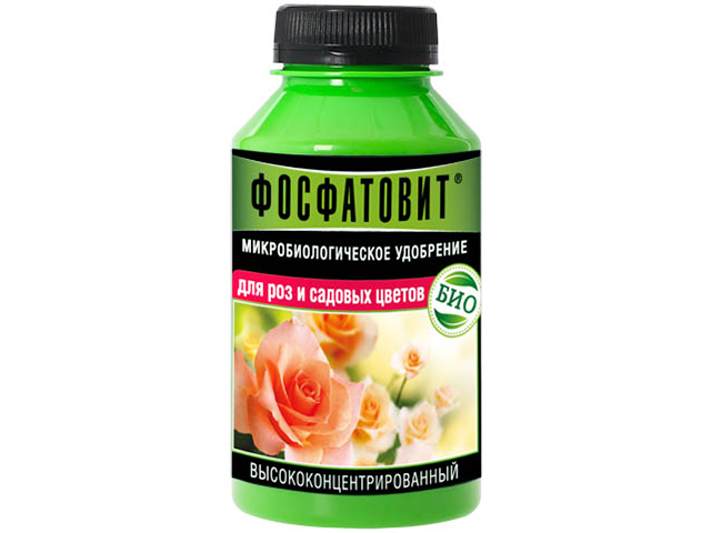 Интернет Магазин Садовых Цветов С Доставкой