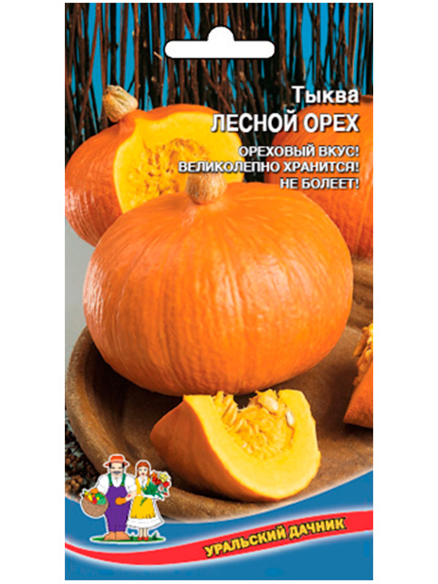 Тыква Лесной орех, ц/п, Уральский дачник
