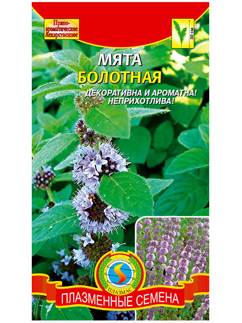 Мята Болотная, 0,03г, ц/п