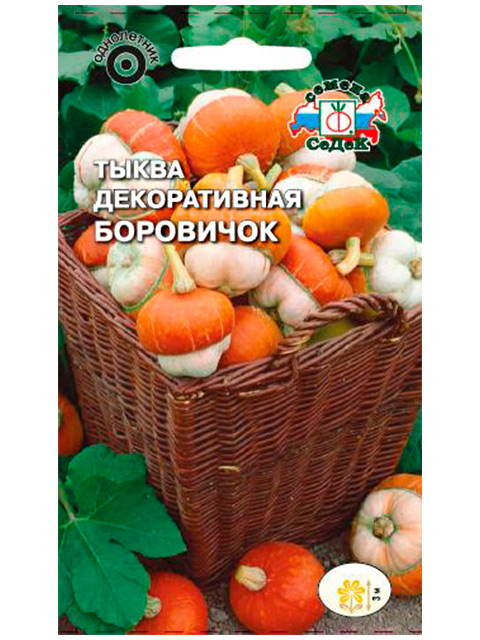 Тыква Боровичок (декоративная) ц/п