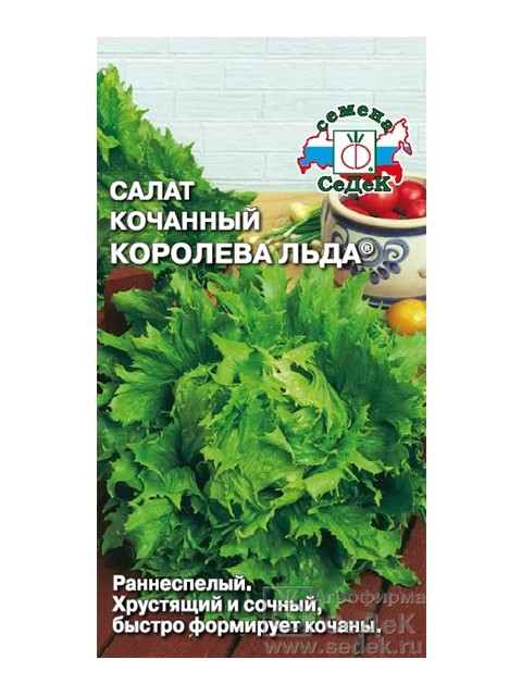 Салат Королева Льда (айсберг), б/п, 0,5 г