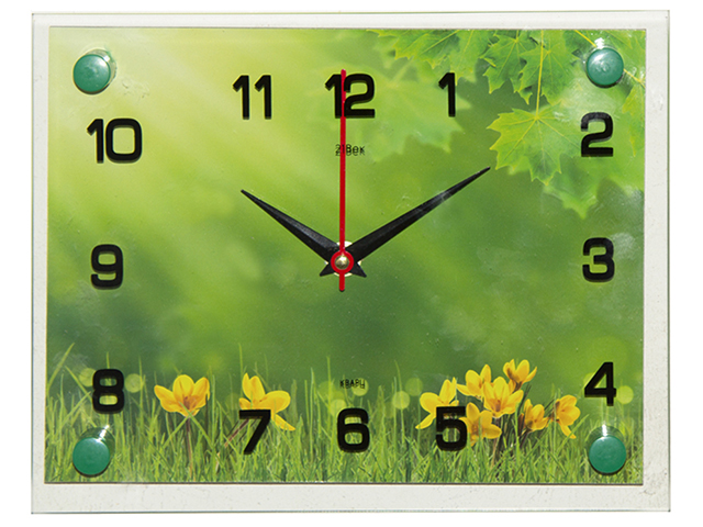 Часы настенные "Летняя поляна" 2026-015 (10)