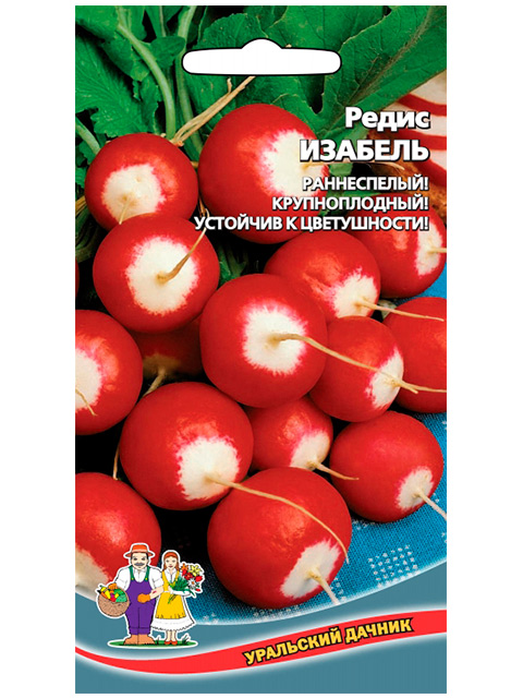 Редис Изабель, ц/п 2 г. Уральский дачник
