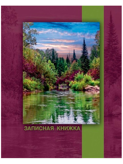 Записная книжка А6 160 листов линия Феникс+ "Лесная река" обл. 7БЦ, с алфавит. вырубкой