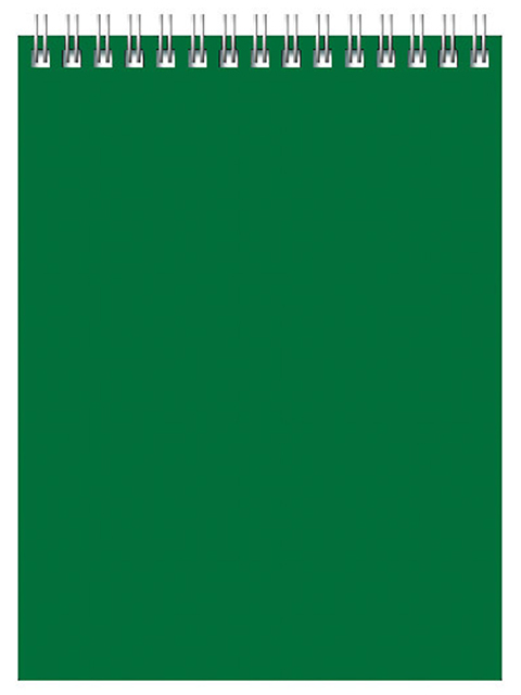 Блокнот А6 60 листов клетка БиДжи "Для Конференций (зеленый)", обл. картон, на гребне