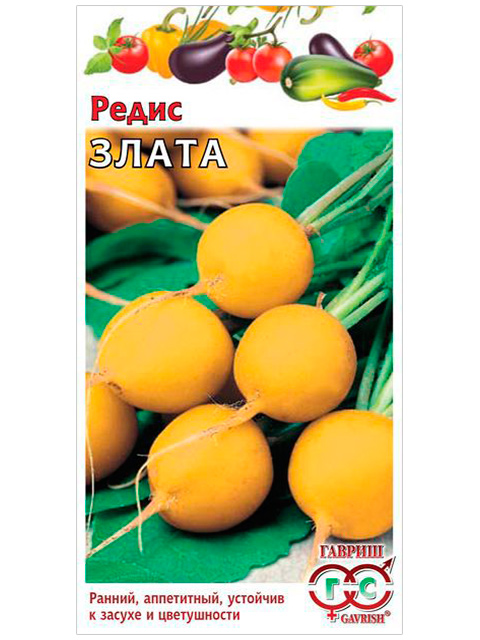 Редис Злата, ц/п, 2-3 г