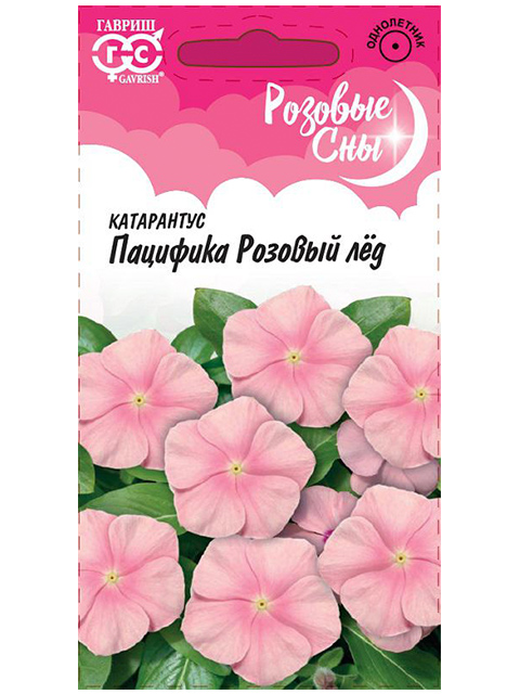 Катарантус Пацифика Розовый лед, ц/п, 7 штук, серия Розовые сны