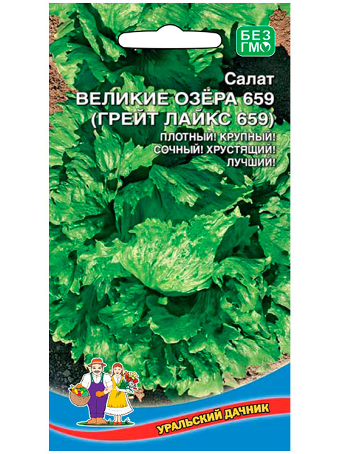 Салат Великие озера 659 (Грейт Лайкс 659) ц/п Уральский Дачник