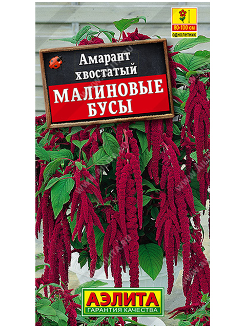 Амарант Малиновые бусы, ц/п R
