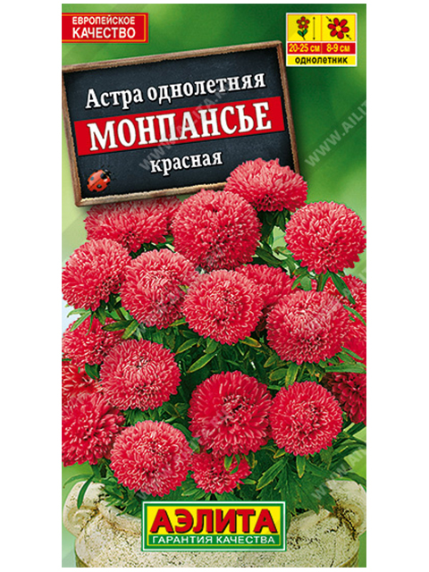 Астра Монпансье красная, ц/п R