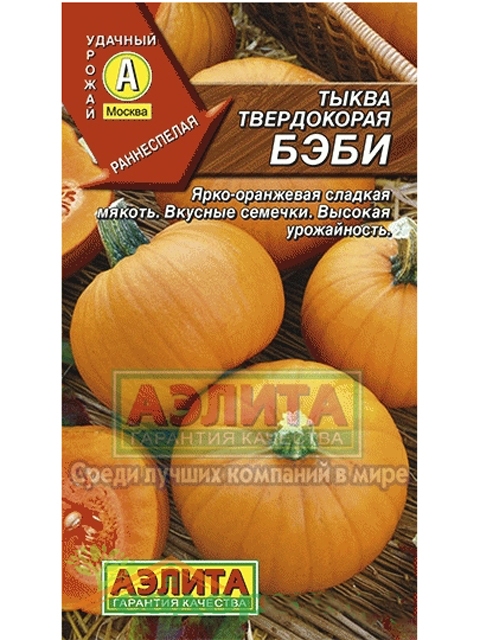 Тыква Бэби, твердокорая, ц/п
