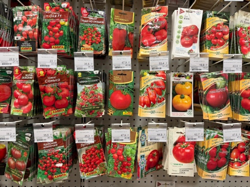 Огромный выбор семян