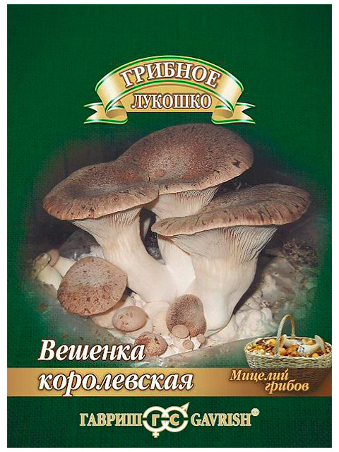 Грибы Вешенка королевская, ц/п, 12 штук