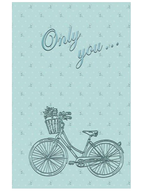 Записная книжка А6 96 листов Феникс+ "Only you. Французский стиль" обл. 7БЦ