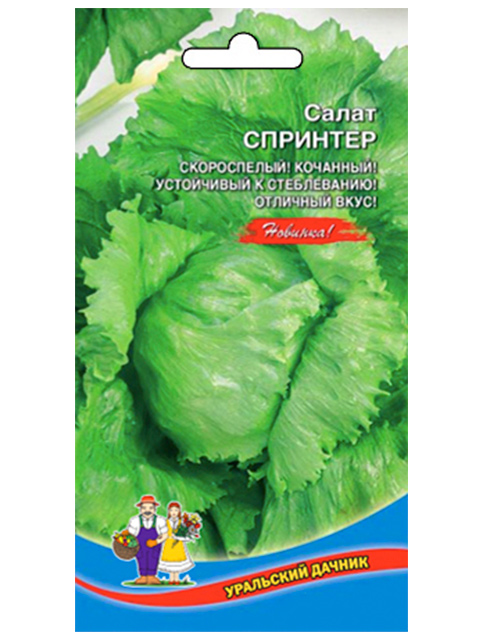 Салат Спринтер, кочанный, ц/п Уральский дачник