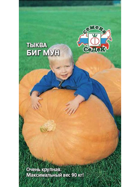 Тыква Биг Мун, 2 г, ц/п