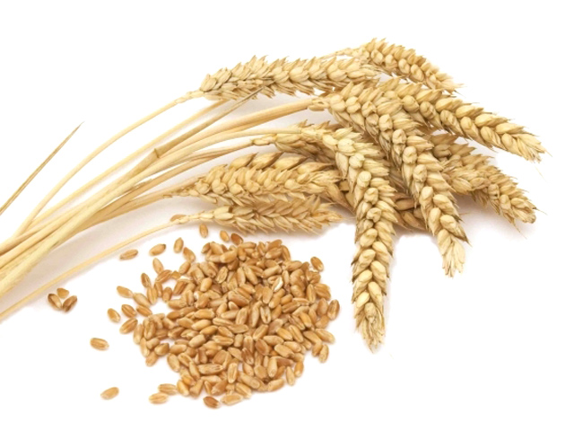 Пшеница (40 кг)