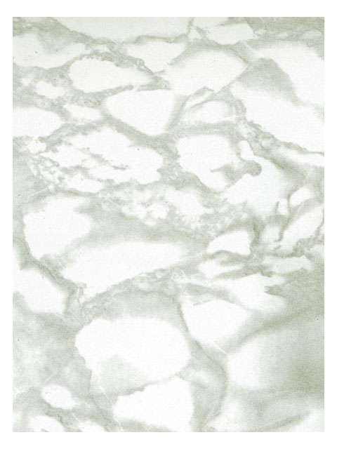 Пленка самоклеящаяся COLOR DEKOR 0,675*8м, мрамор серый, цена за метр