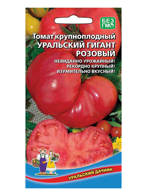 Томаты уральский. Томат Уральский великан. Томат Уральский гигант розовый. Томат розовый гигант Уральский Дачник. Томат Непасынкующийся засолочный.