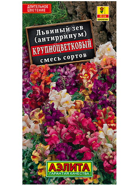 Львиный зев Крупноцветковый, смесь окрасок, ц/п R