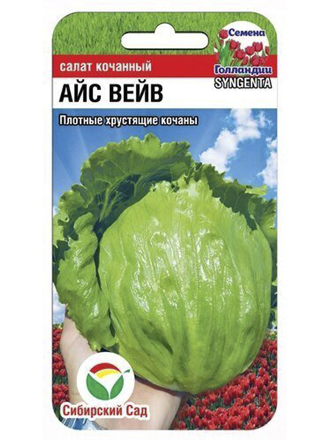 Салат Айс Вейв 10шт (Сиб Сад)