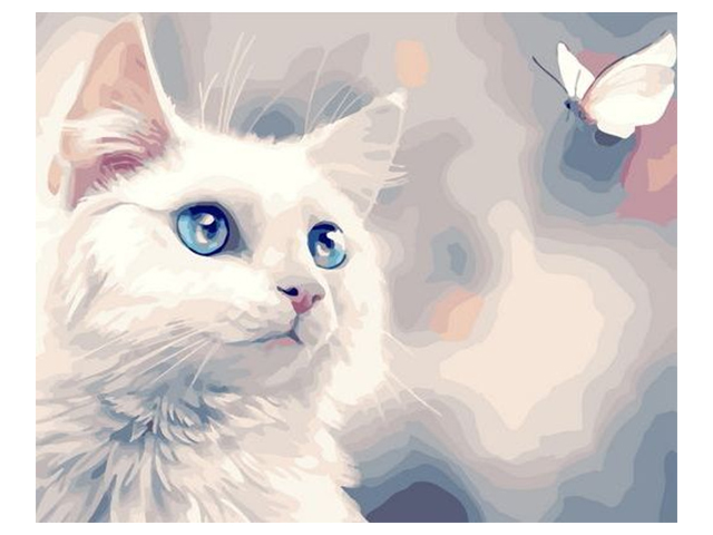 Картина по номерам "PaintBoy. Белая кошка и бабочка" 40х50см