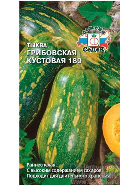 Тыква Грибовская Кустовая 189 1г, ц/п