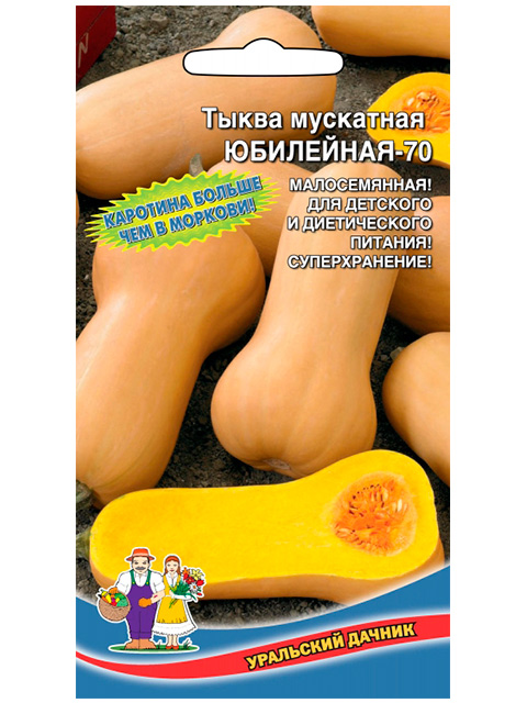 Тыква Юбилейная-70 ц/п Уральский дачник
