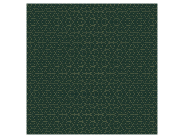 Бумага упаковочная глянцевая MESHU "Dark green", 70х100см, 90г/м2