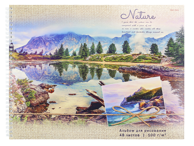Альбом для рисования А3 48 листов Проф-Пресс "Пейзаж на открытке" на гребне