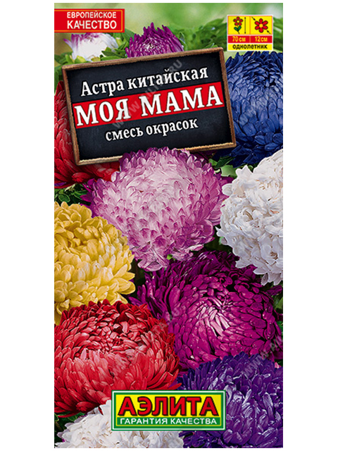 Астра Моя мама, смесь окрасок, ц/п R