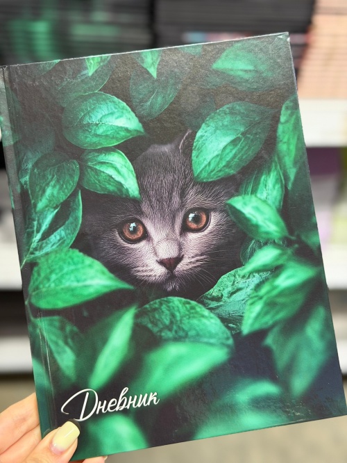 Школьные дневники! Новое поступление!