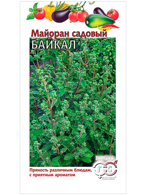 Майоран садовый Байкал, 0,1 г (ц/п) R