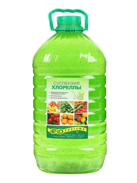 Суспензия хлореллы 5л 